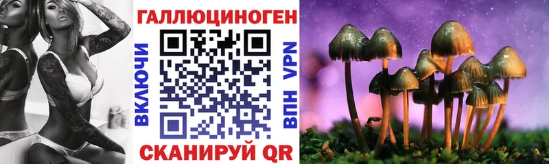 купить   Енисейск  Галлюциногенные грибы мухоморы 