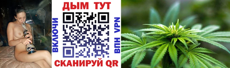 Шишки марихуана планчик  гидра ONION  Енисейск  купить  цена 
